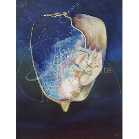  Anatomía de un alimento solar - Andrea Ceiba - Acrílico / Tela – 44 x 33 cm