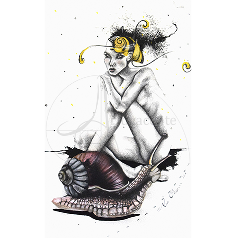  Discurrias, Razón caracol – Nim Obun… Grafito, pastel y tinta china / Papel.  41.5 X 28.5 cm.
