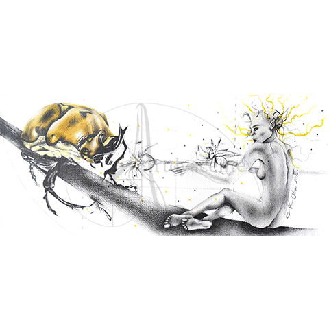  El acercamiento – Nim Obun… Grafito y pastel / Papel. 23.5 X 53.5 cm.